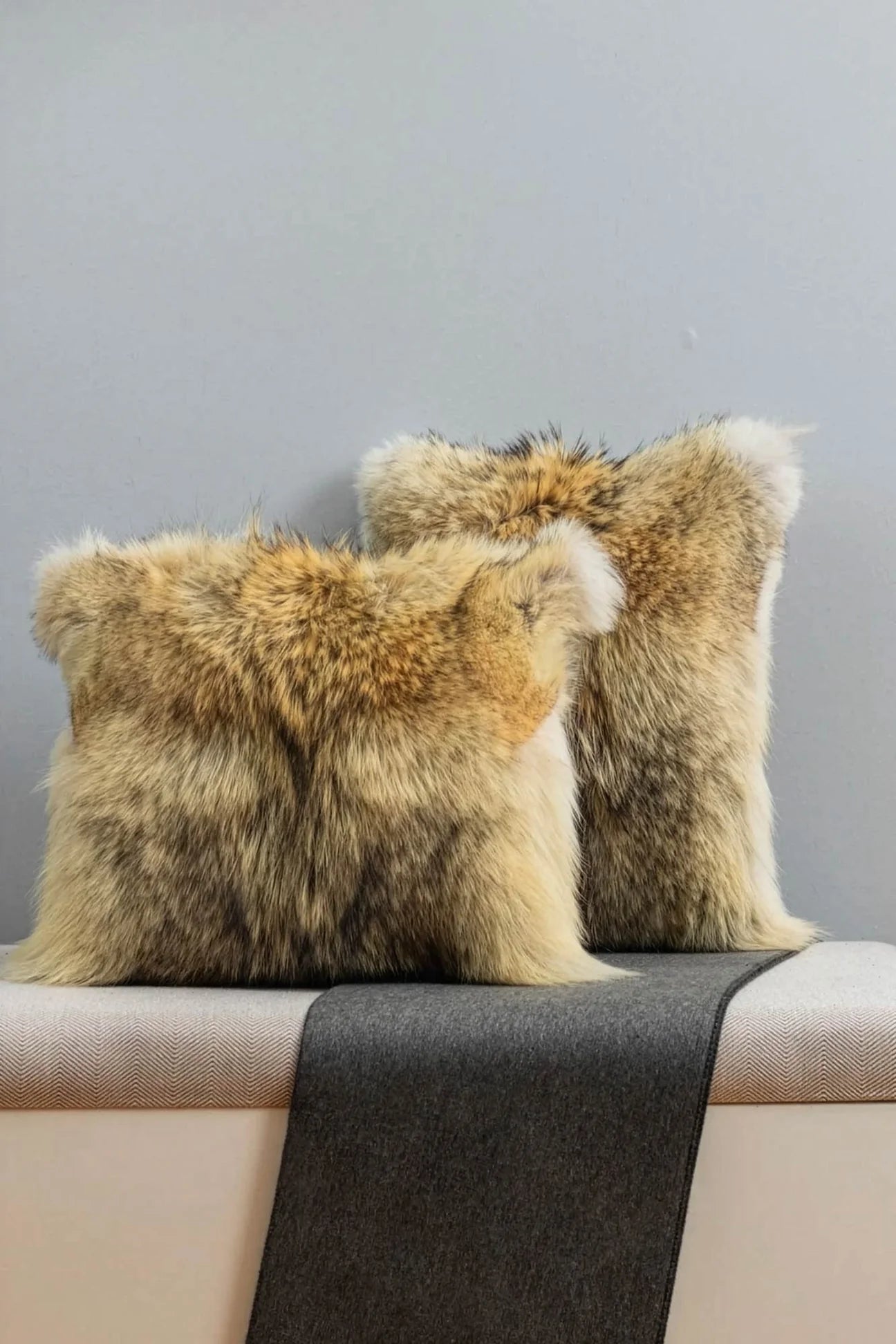 Coyote Fur Pillows