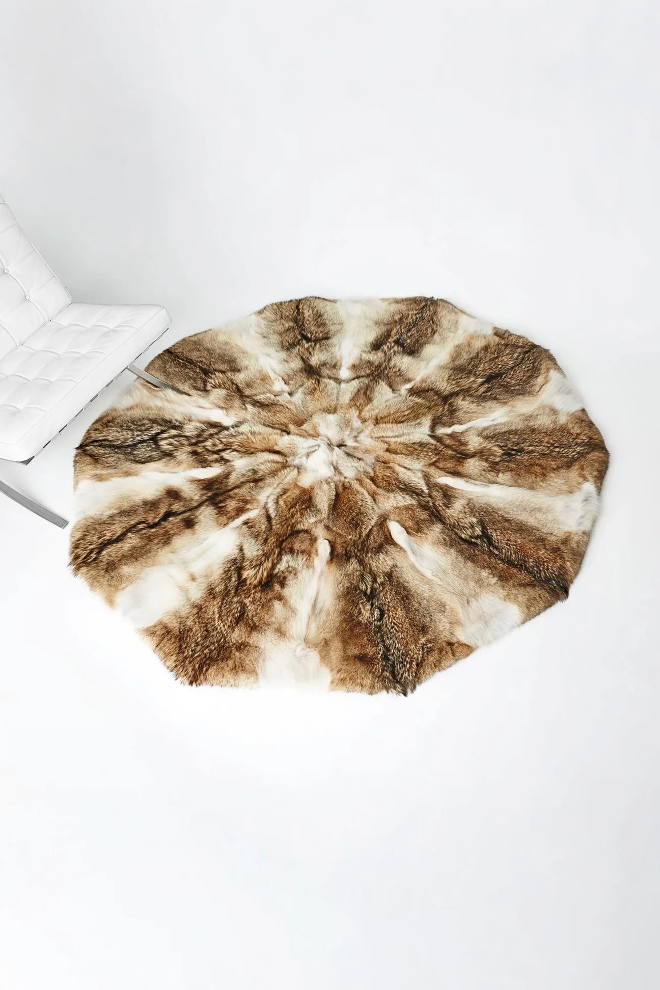 Coyote Fur Rug